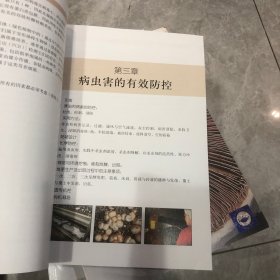 蘑菇病虫害防控彩图手册