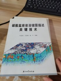 碳酸盐岩岩溶储层描述关键技术