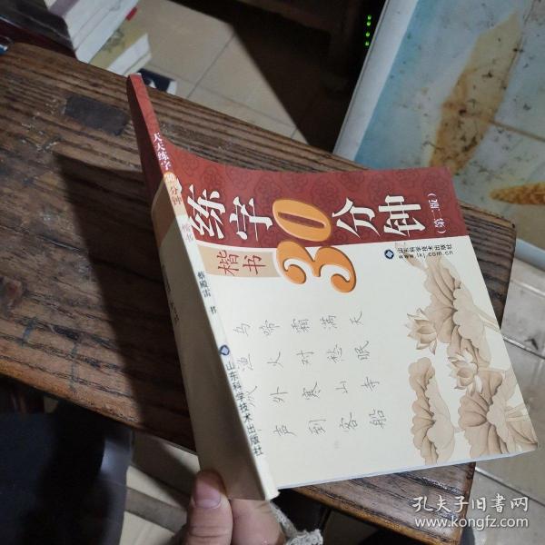 钢笔书法快速自学系列：天天练字30分钟·楷书（第2版）