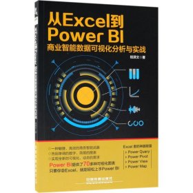 【正版新书】从Excel到PpwerBL商业智能数据可视化分析与实战