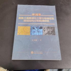 膨胀土裂隙演化三维分布特征及微观结构分形规律研究