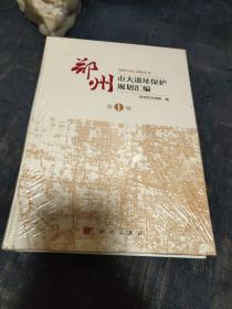 郑州历史文明丛书：郑州市大遗址保护规划汇编（第一辑）