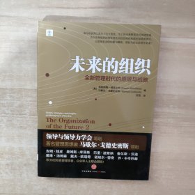 未来的组织：全新管理时代的愿景与战略