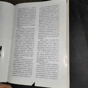 瓷上肖像画技法