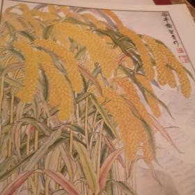 中国画精品选 北京出版G柜边区