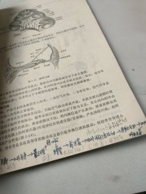 五官科