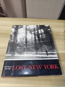 LOST NEW YORK