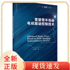 宽禁带半导体电机驱动控制技术