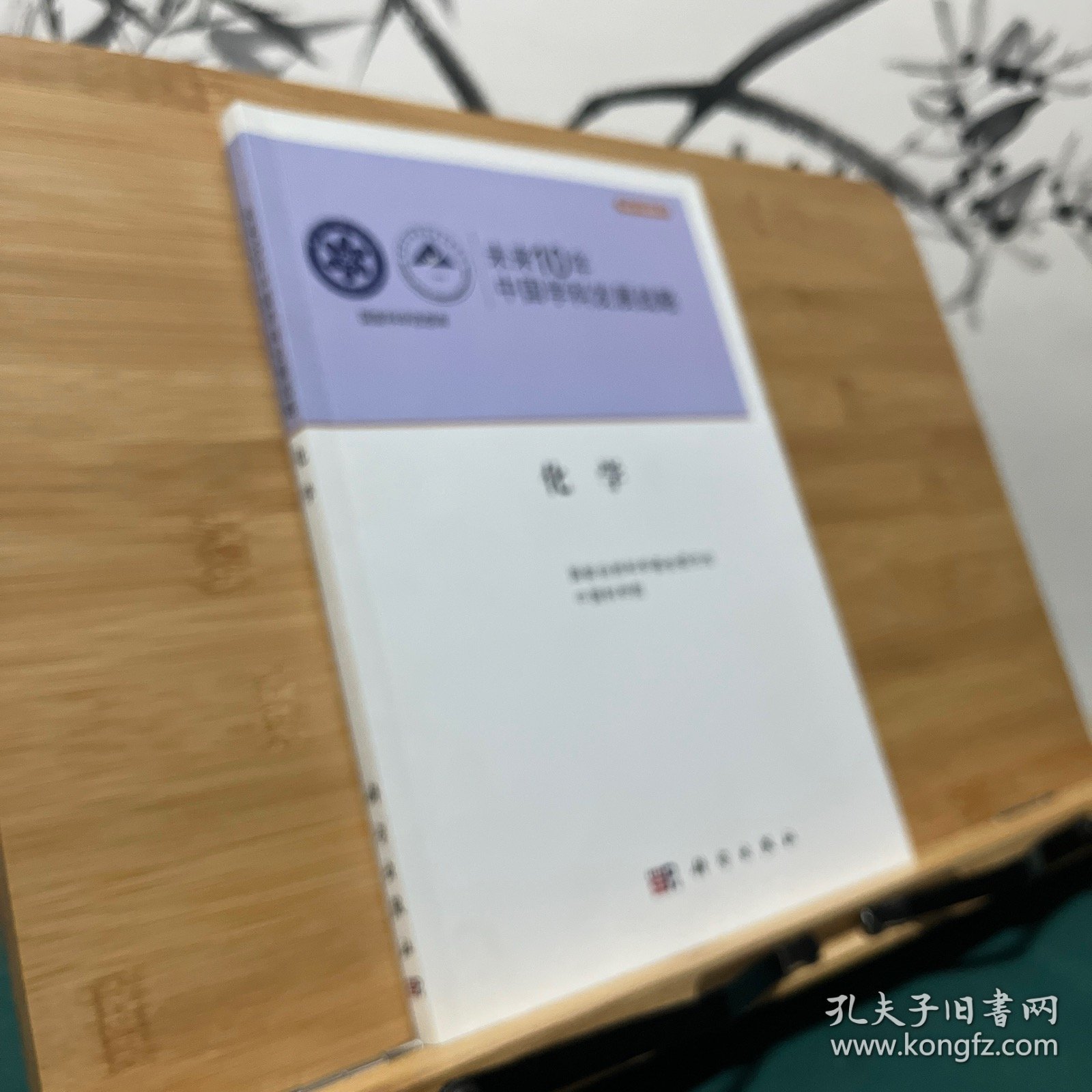 未来10年中国学科发展战略：化学