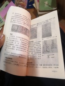 中国钱币常识选编