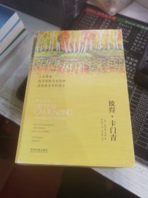 黑塞心理学作品集：彼得·卡门青