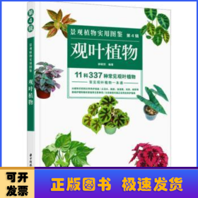 景观植物实用图鉴（第4辑）：观叶植物