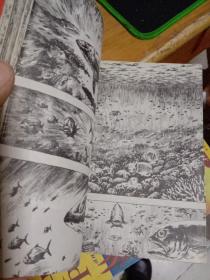 刚烈小恐龙  阿贡漫画  2     一版一印