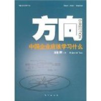 正版书博思艾伦管理丛书：方向-中国企业应该学习什么