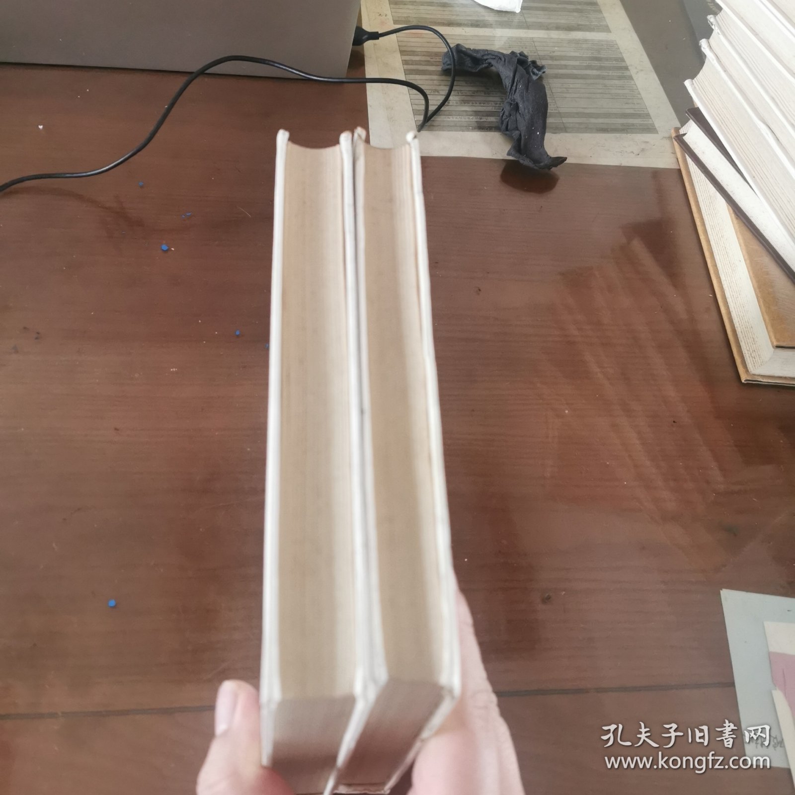 哲学史教程：特别关于哲学问题和哲学概念的形成和发展（全二册）（白皮精装，商务印书馆1997年纪念版）