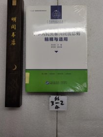 中华人民共和国民法总则 精释与适用