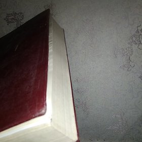 溧阳县志译本 精装 16开，前有黑白图36幅 内页无涂画破损底部几页有沁入渍痕如图