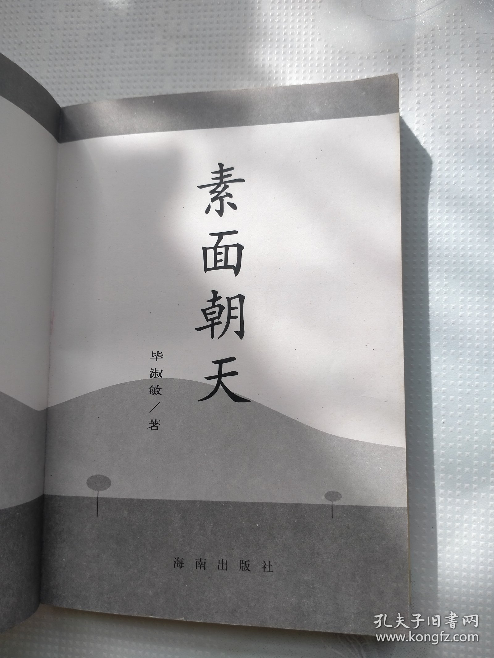 素面朝天：Su mian chao tian (Ya zhi san wen cong shu) (Mandarin Chinese Edition)