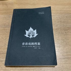 青春戏剧档案