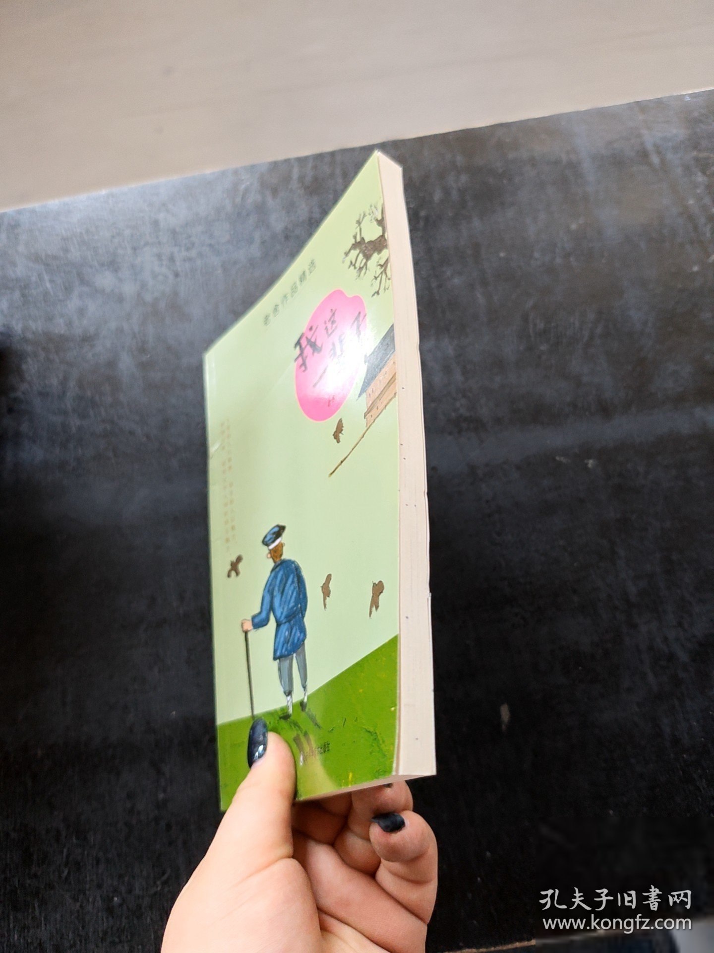 老舍儿童文学精选——我这一辈子 随机发