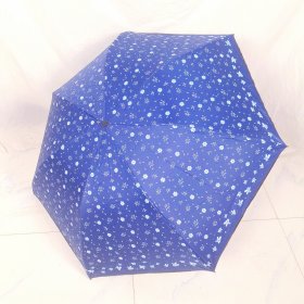 雨伞太阳伞