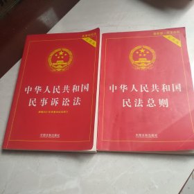 中华人民共和国民事诉讼法（实用版）（2022年版），民法总则，2本合售