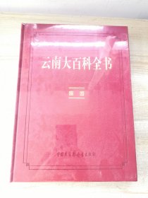 云南大百科全书旅游卷（全新有塑封）