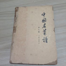 中国名菜谱第九辑
