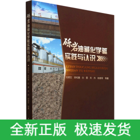 礫巖油藏化學(xué)驅(qū)實(shí)踐與認(rèn)識(shí)