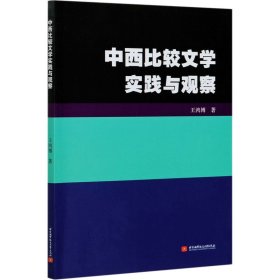 中西比较文学实践与观察