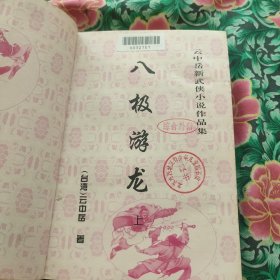 八极游龙