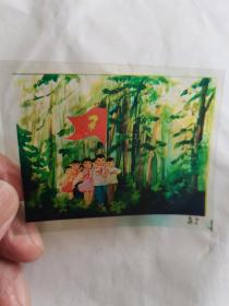 彩色幻灯片《祖国的森林》共6片