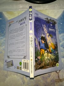汤小团53 天命玄鸟（无解密卡）