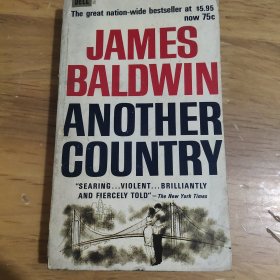 JAMES BALDWIN ANOTHER COUNTRY