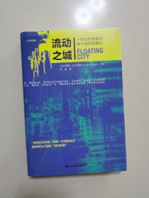 流动之城：一位社会学家的地下纽约观察记