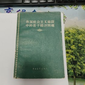 我国社会主义建设中的若干经济体