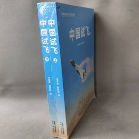 中国试飞(全2册) 中国现当代文学 韦克家,姜丽丽 新华