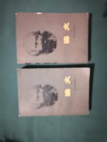 盗火[上下册]