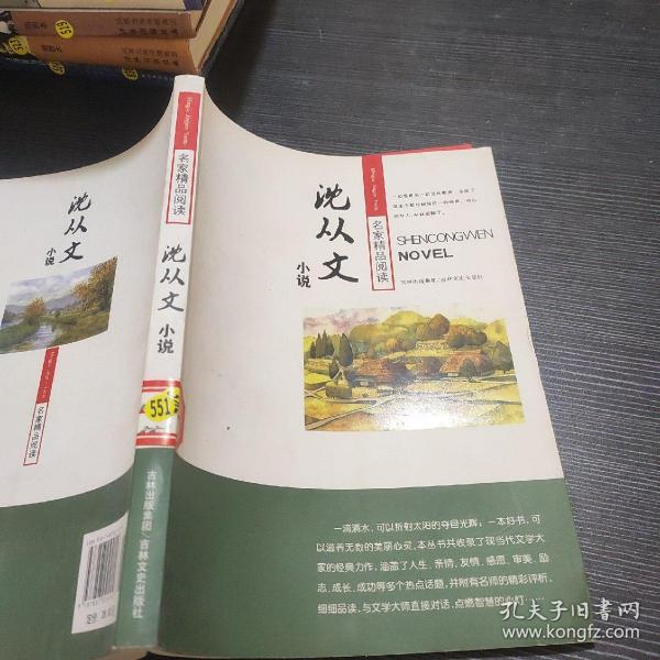 沈从文小说——学生版·名家精品阅读之旅