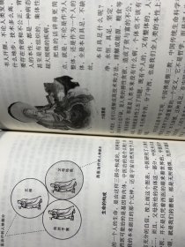 内证观察笔记 原版增订本真图本中医解剖学纲目 内政内症内正观察笔记 内证检查观摩见证笔记
中医学中医养生