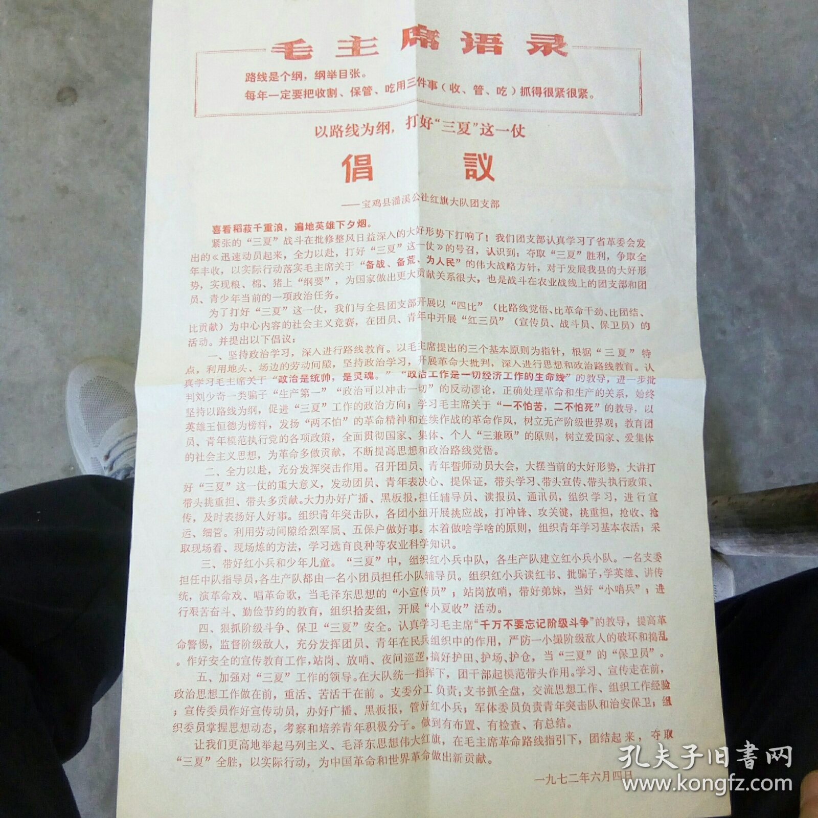 以路线为纲打好“三夏”这一仗倡议一一宝鸡县潘溪公社红旗大队团支部
