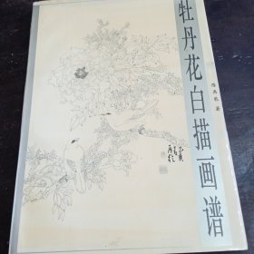 牡丹花白描画谱