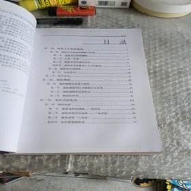 满族文化艺术成果集成与创新研究