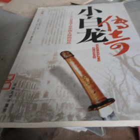 小白龙传奇:一个日本浪人在中国大陆的经历（中卷）