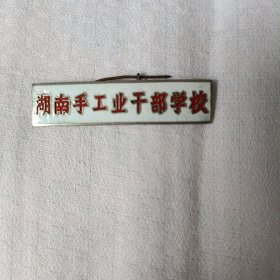 湖南手工业干部学校