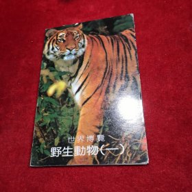 世界博览 野生动物（一） 明信片 内含九张