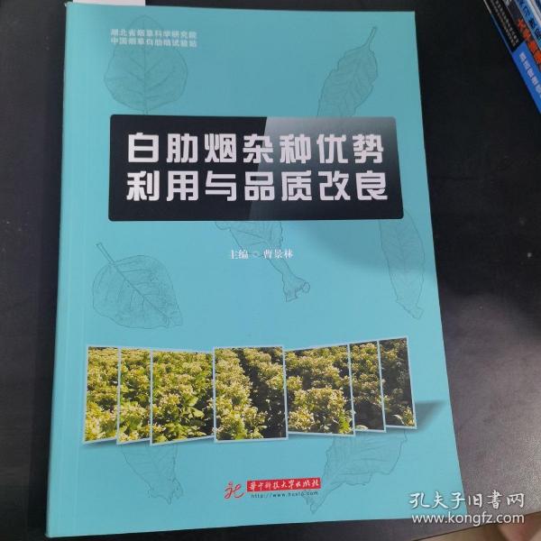 白肋烟杂种优势利用与品质改良