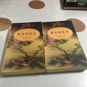 醒世姻缘传：中国古典小说名著普及文库（上下）