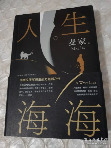 麦家：人生海海（茅盾文学奖得主麦家2019年强力之作）