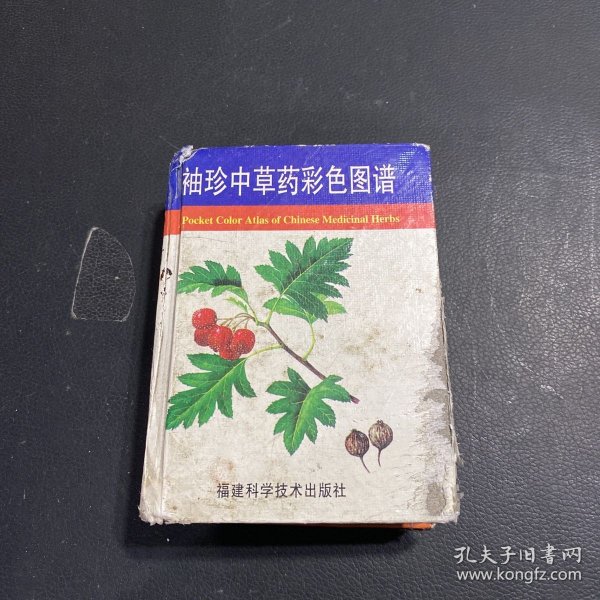 袖珍中草药彩色图谱